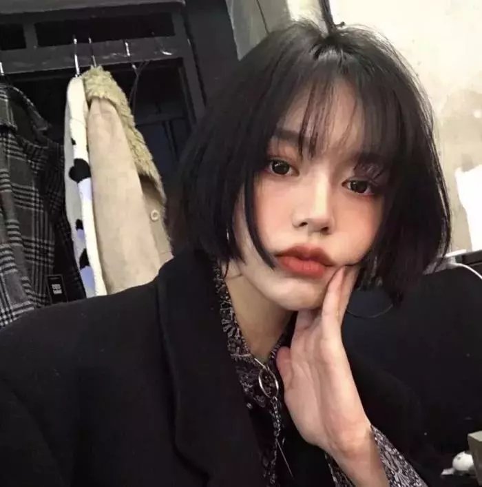 王朝的陷落