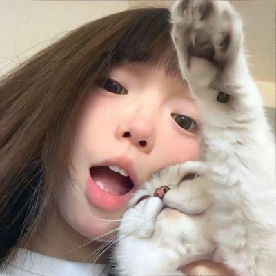 嗜血狂鲨